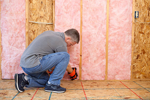 Best Blown-In Insulation  in Marietta Alderwood, WA