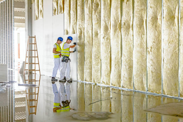 Best Basement Insulation  in Marietta Alderwood, WA